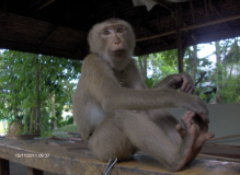 Thaimaa, Krabi