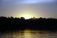 Malesia, Bilit