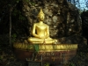 Buddha istuu