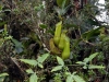 dsc7539